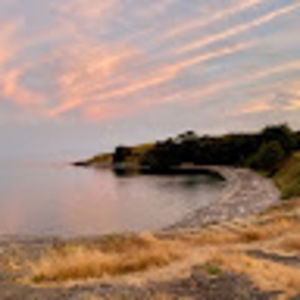 Meet your Posher, Elise